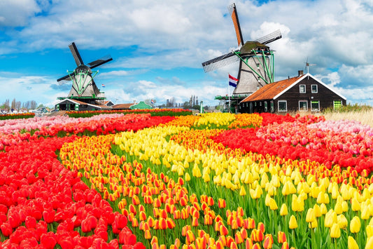 UK e-Apostille for the Netherlands: when digital legalisation may be accepted