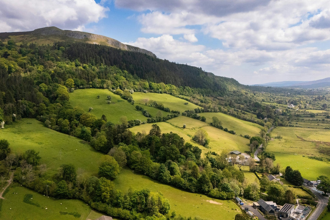 Moving to Ireland with UK documents: what to check